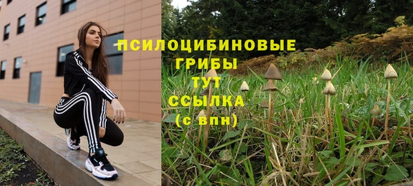мдпв Струнино