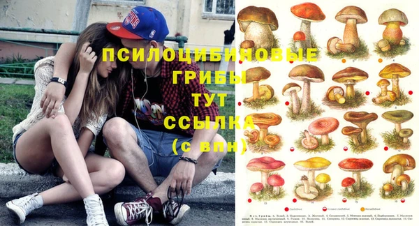 мдпв Струнино
