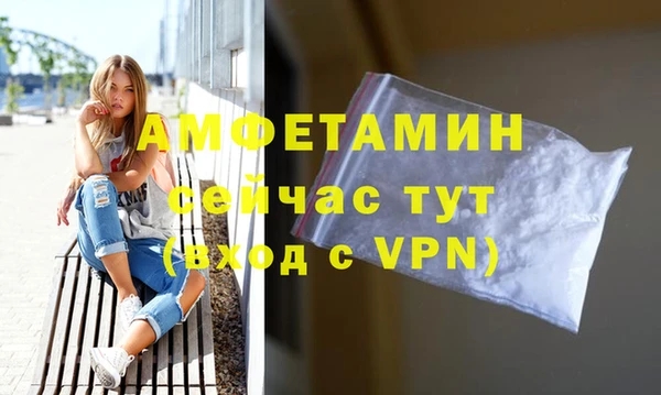 эйфоретик Тайга