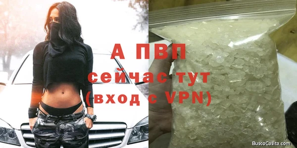 гашик Сясьстрой