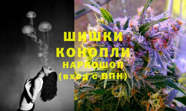 мдпв Струнино