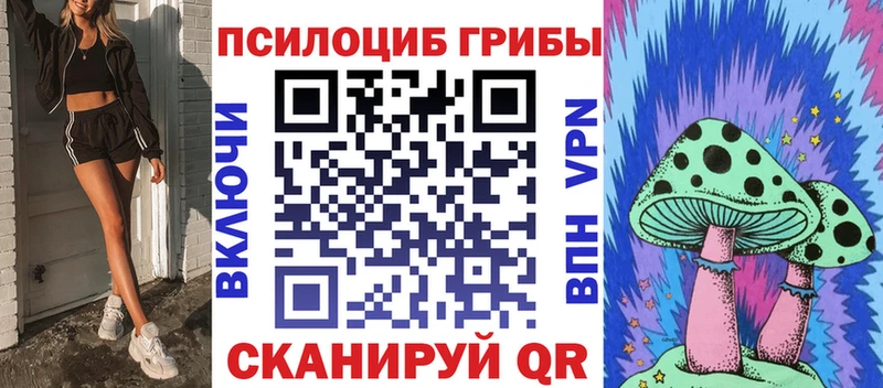 Псилоцибиновые грибы Cubensis  что такое наркотик  Чадан 